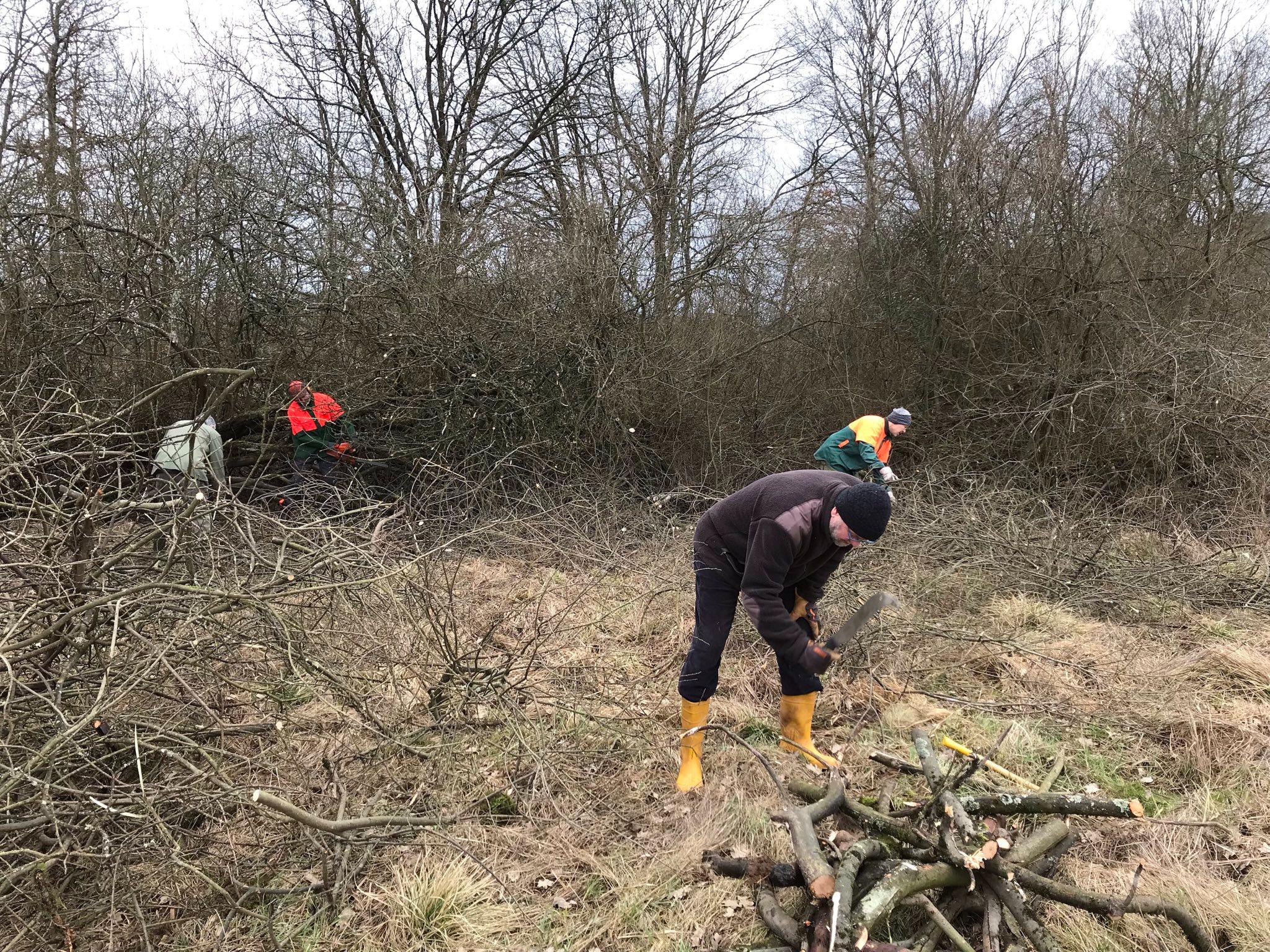 Beim Kleinmachen Foto: O. Deichner