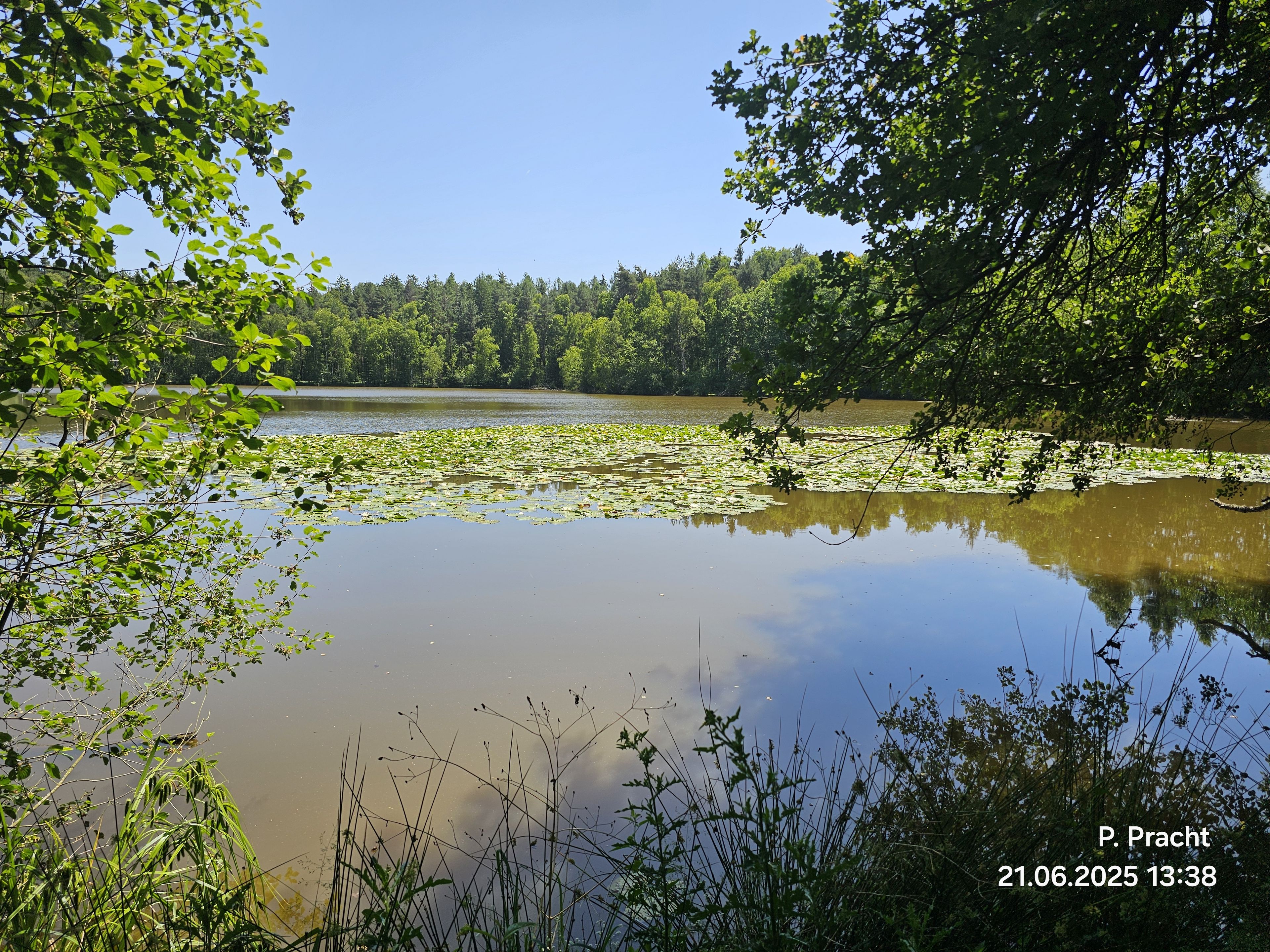 Typische Teichlandschaft im Naturschutzgebiet 2 Foto: Peter Pracht, BN