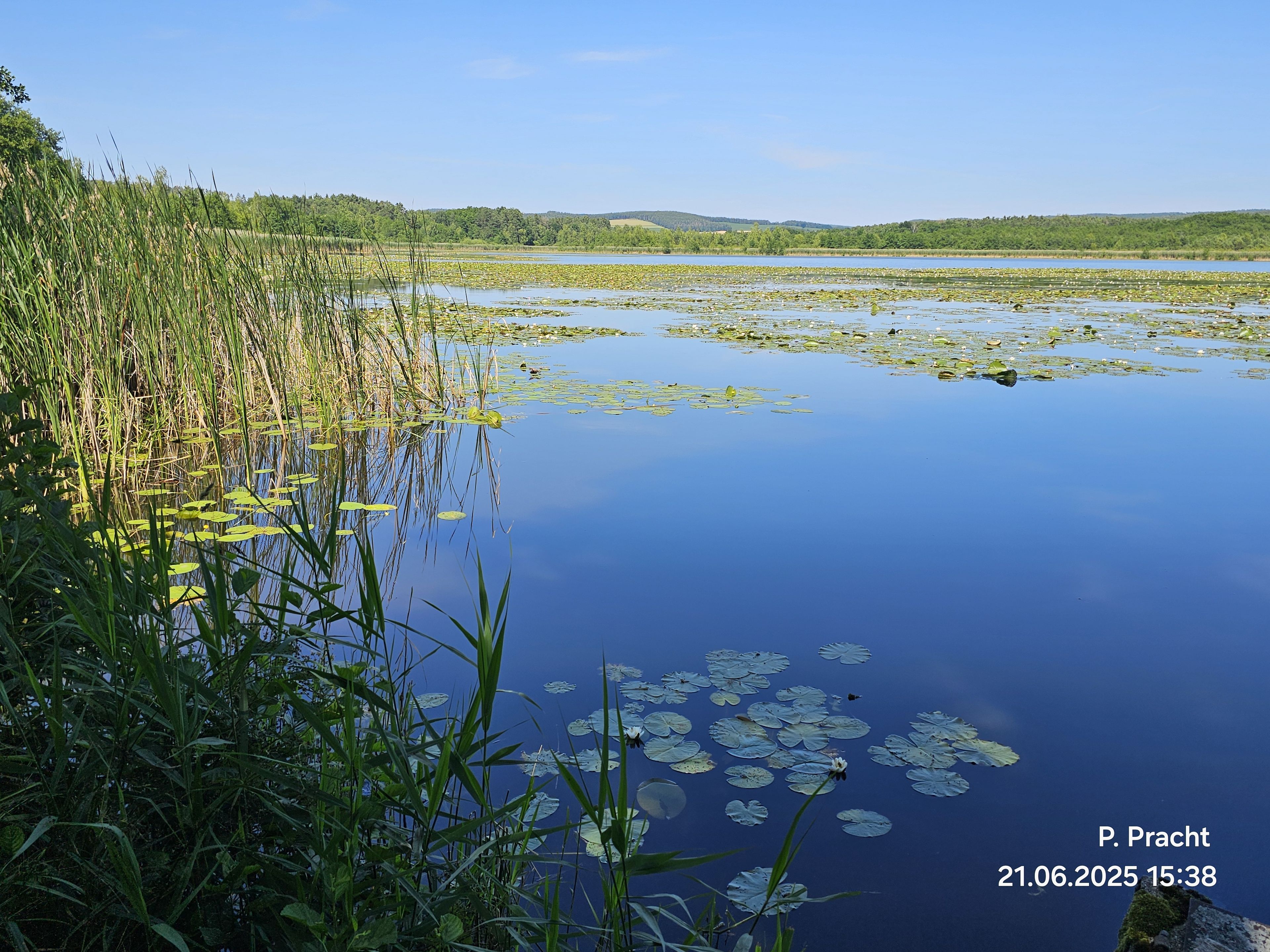 Typische Teichlandschaft im Naturschutzgebiet Foto: Peter Pracht, BN
