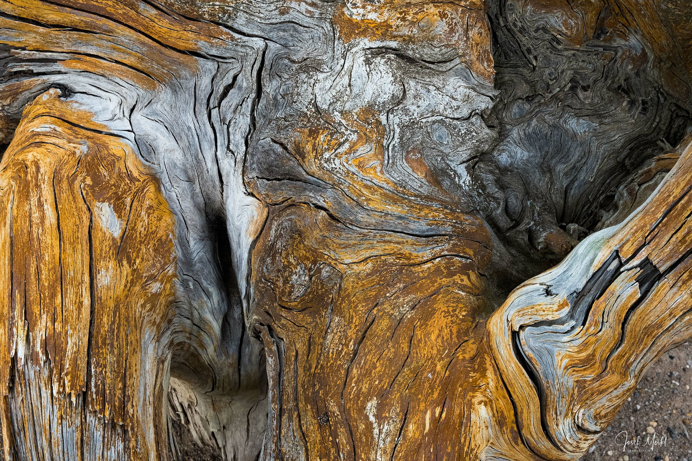 Holz Lindensee ©Josef Merkl