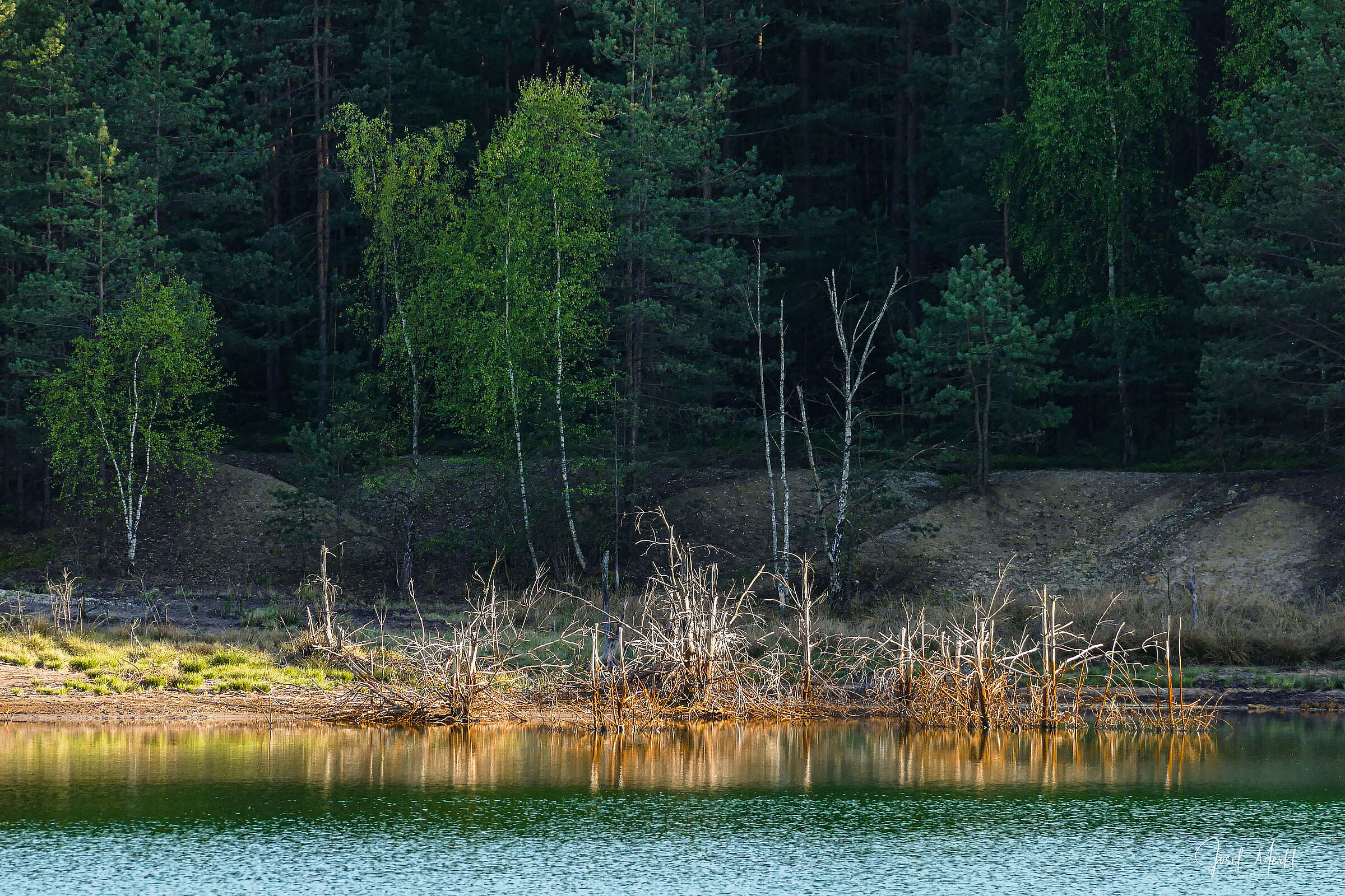 Lindensee ©Josef Merkl