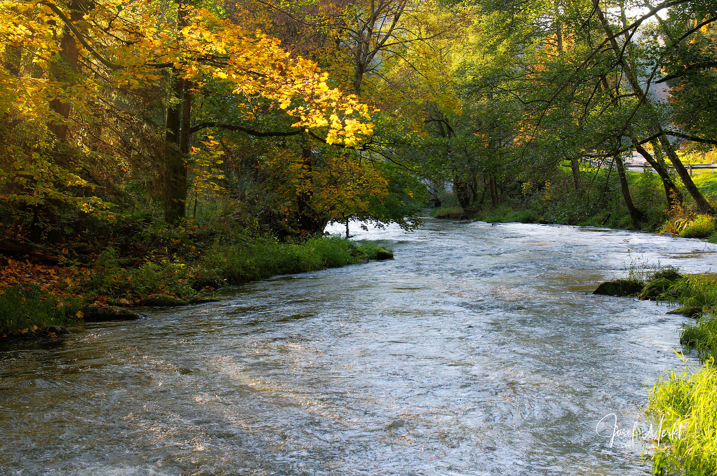 Murnthal an der Schwarzach, Josef Merkl