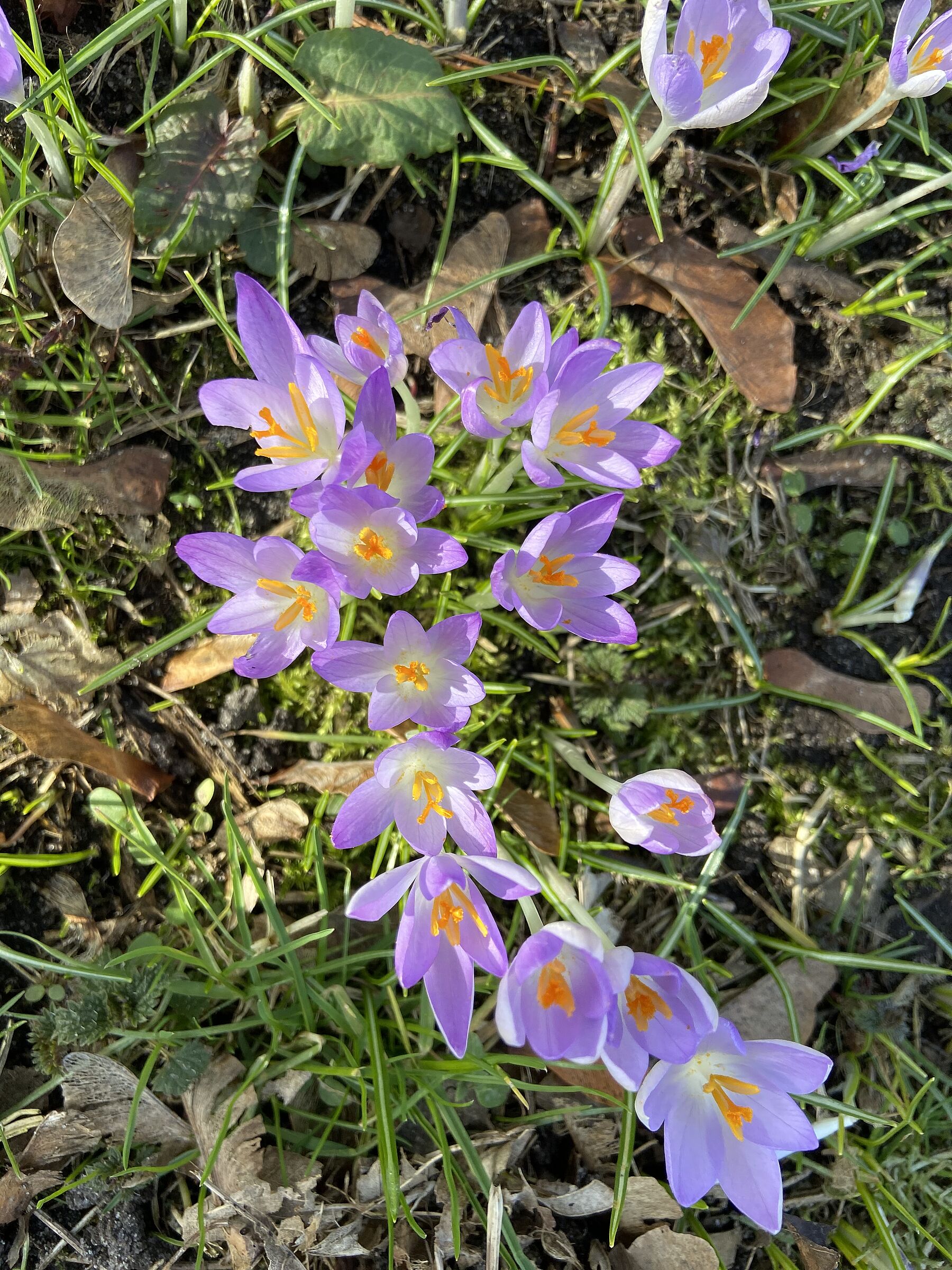 Foto von Martina Gehret
