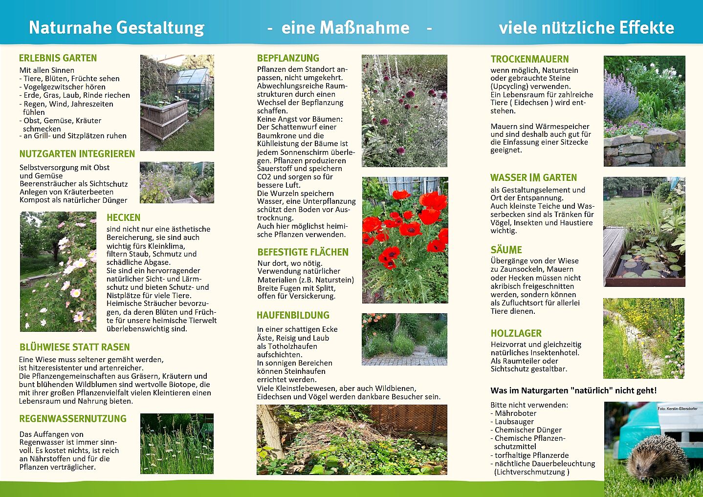 Folder "Naturgarten" c: BN KG SAD Seite 2