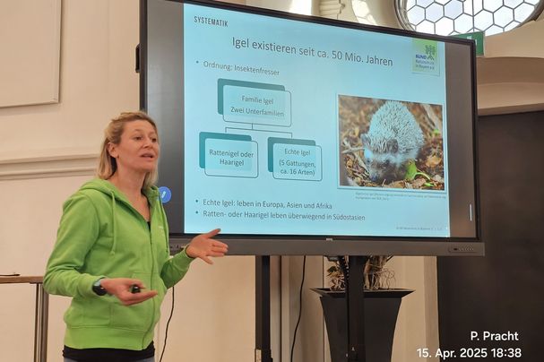 Igel-Expertin Martina Gehret, Bild: BN Igel-Expertin Martina Gehret, Bild: BN